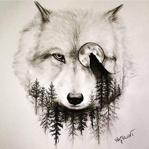 A Wolf Drawing Easy