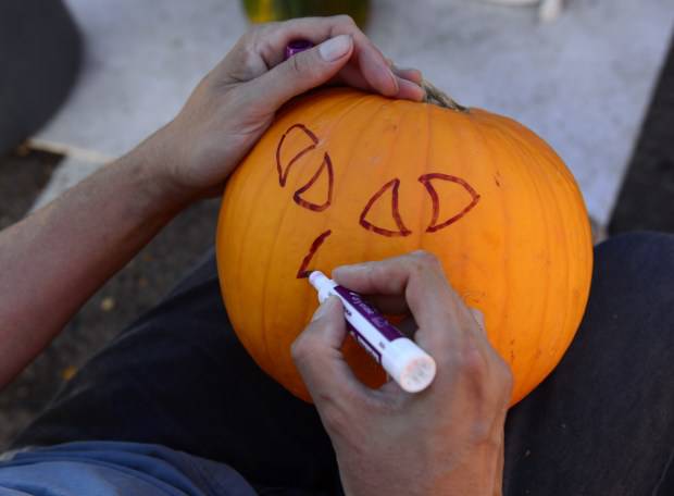 Cat In Pumpkin Drawing