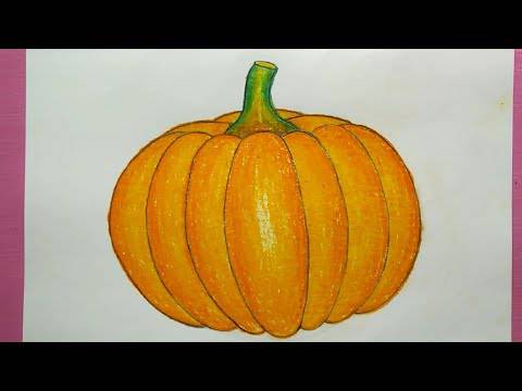 Detailed Pumpkin Drawing