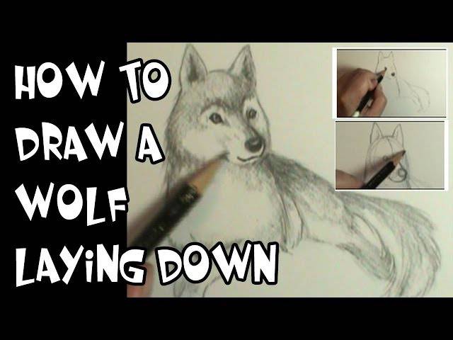 Draw With Rob Wolf