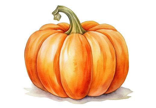 Drawing For Pumpkin Carving