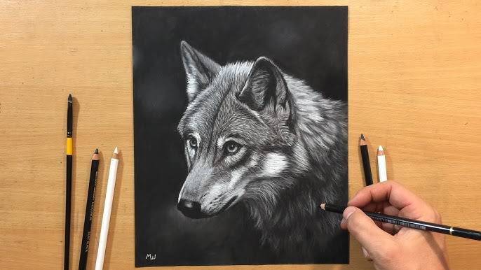 Drawing Of A Cartoon Wolf