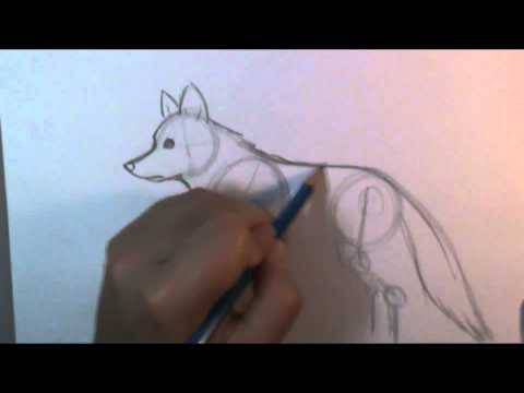 Easy Howling Wolf Drawing