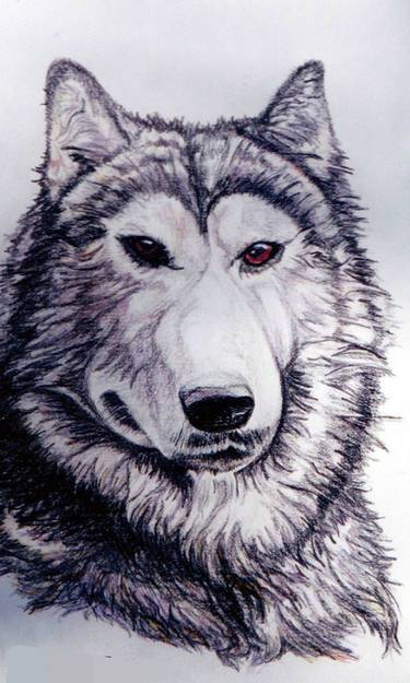 Easy Tribal Wolf Drawing