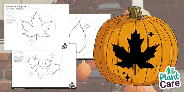 Giant Pumpkin Drawing