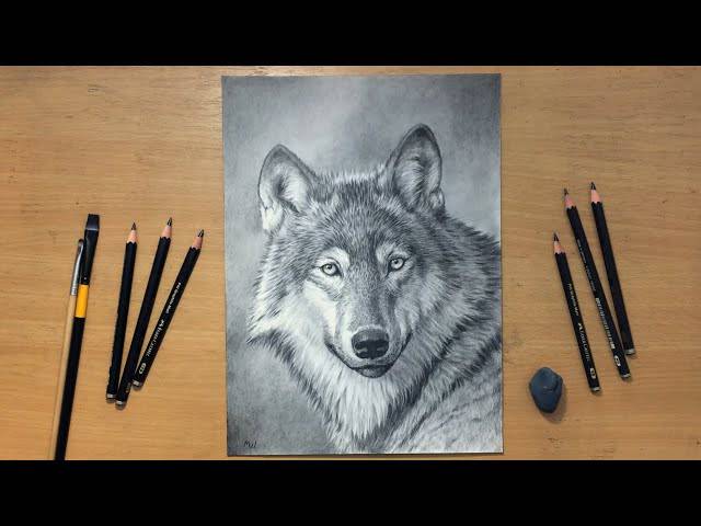 Howling Wolf Head Drawing