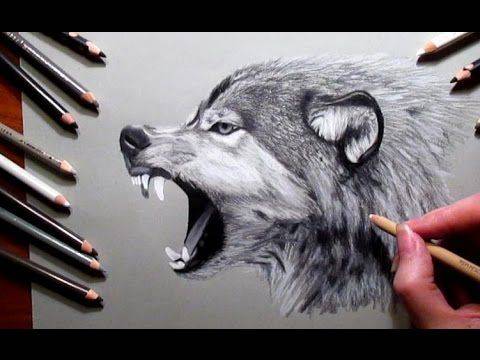 Native Wolf Drawing