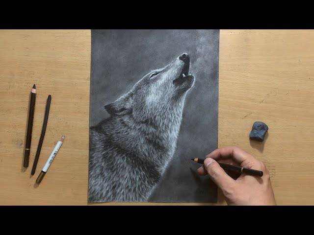 She Wolf Drawing