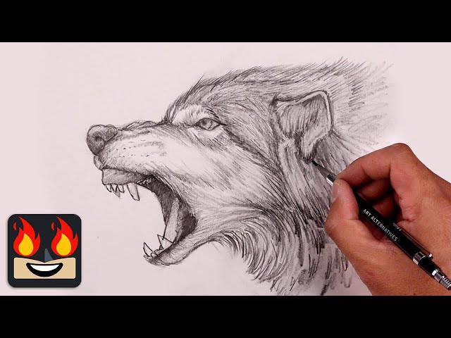 Sitting Wolf Drawing