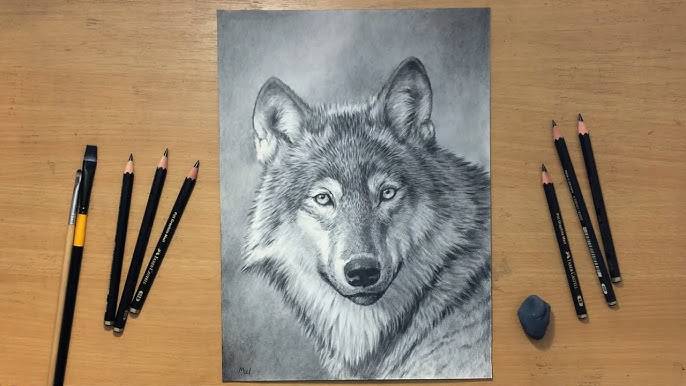 Sketch Of Wolf Face